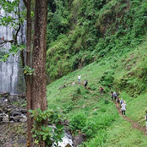 Kikuletwa Hot Springs Excursion