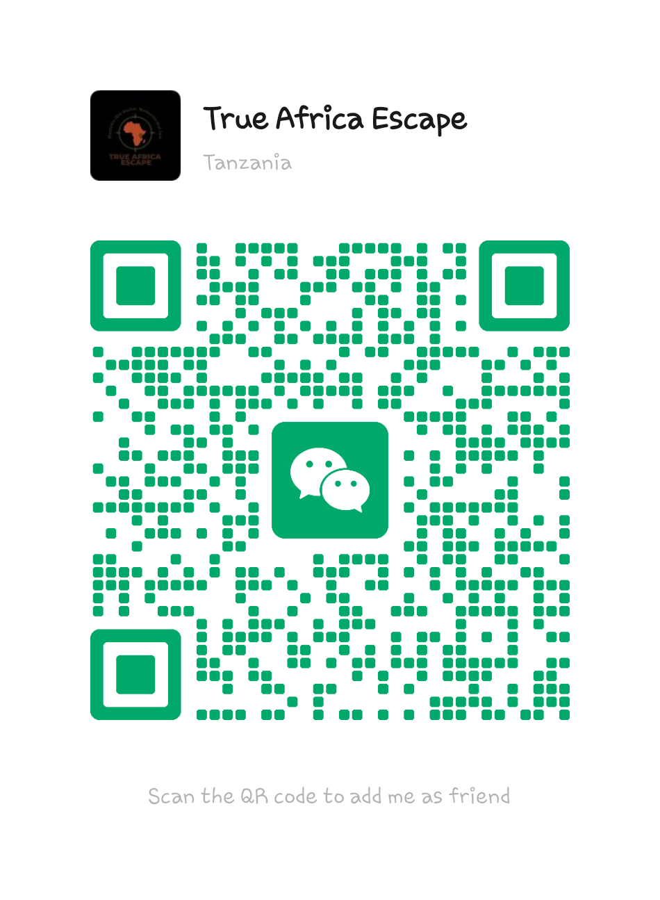 WeChat QR Code